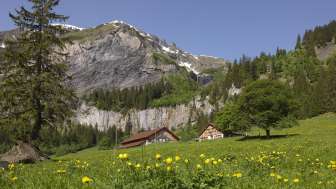 Alpage de Walabütz