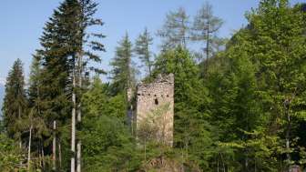 Ruines du château de Klingenhorn Wynegg, Malans