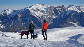 Pizol, neige, sols de course, chien, randonnées hivernales, groupe de cors des Alpes Pardiel