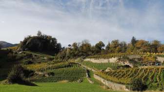 Domaine viticole Portaser