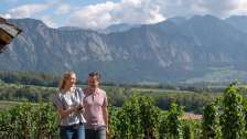 Alter Torkel, Bündner Herrschft, savourer, Jenins, culinaire, vignobles, raisins, vin, dégustation de vin, région viticole