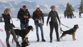 10e édition du Winter-Military - Classement