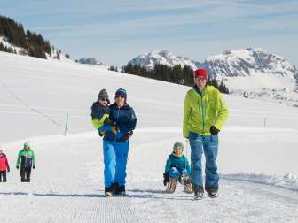 neige, montagne
