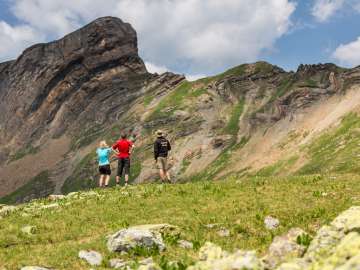 Plissement des Alpes Haut lieu tectonique Sardona de l'UNESCO