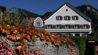 Domaine viticole Donatsch & Winzerstube "zum Ochsen" (restaurant vigneron)