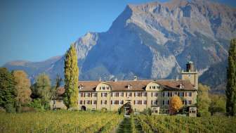 Domaine viticole Schloss Salenegg