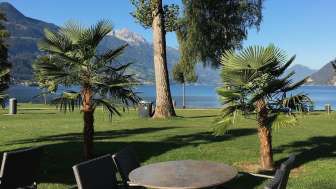 Restaurant de plage neptun