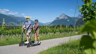 Tour de pique-nique en scooter électrique Bündner Herrschaft