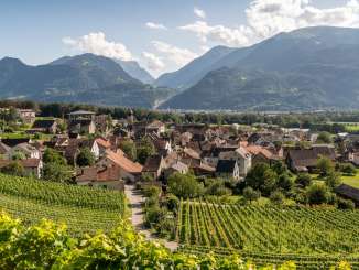 Vignoble, vignobles, Fläsch, seigneurie, village, Bündner Herrschaft