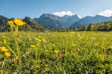 2025, montagnes, fleurs, prairie fleurie, Bündner Herrschaft, printemps, paysage et nature, nuages