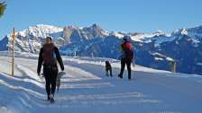 neige, vallée de la Tamina, Fürggli - Golerberg, chien, randonnée hivernale