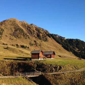 Prairies alpines en automne ; © Alpinasol.ch