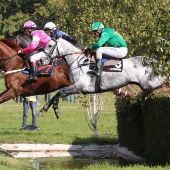 Courses hippiques 4