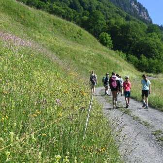Sentier longeant le parcours © Fondation Erlebnis Weisstannental