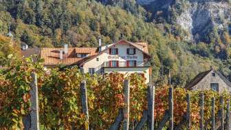 Hôtel Gasthof zur Bündte