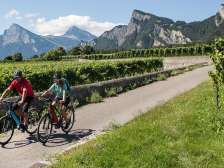 couple, vin, vignes, Bündner Herrschaft, Maienfeld