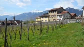 Maison Schmid, maintenant Fromm