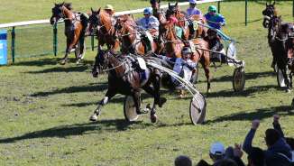 Course de chevaux_Maienfeld course, manifestation, course, Maienfeld, cheval