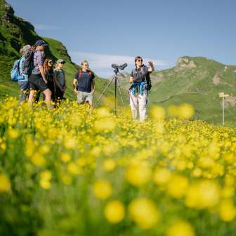 Observer les marmottes © Kevin Wildhaber
