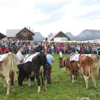 Fromage d'alpage Kuhrennen b8a8a92e