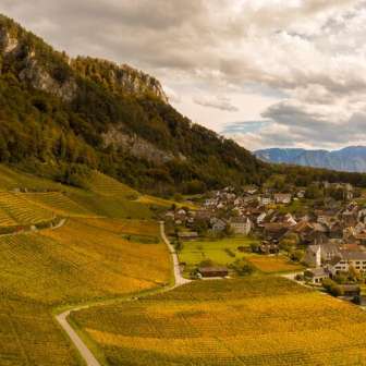 Vignoble Fläsch © Heidiland Tourisme