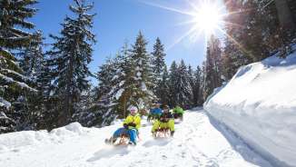 Luge_Pizol ciel bleu, groupe, Pizol, Pizolbahnen, luge, luge, descente en luge, neige, soleil, ensoleillé, plaisir, forêt, paysage hivernal, rêve d'hiver