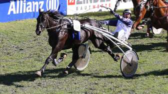Courses hippiques internationales de Maienfeld