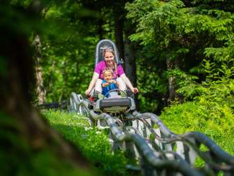 Piste de luge, luge
