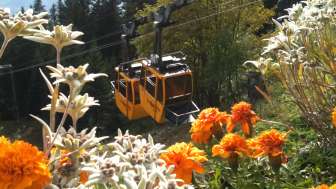 Chemin de fer de l'alpage de Malans
