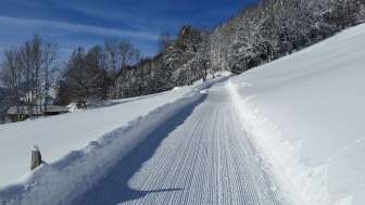 Piste de luge Schrina