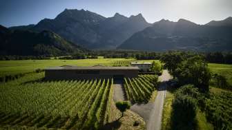 Domaine viticole Davaz 
