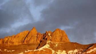Région Chaîne à pointes annelées