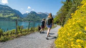 2025, arbres, montagnes, bleu, fleurs, amies, printemps, plans d'eau, vert, chien, laisse, Quinten, lac, forêt, lac de Walenstadt, randonnée, eau, chemin, nuages