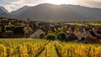 Vignoble_Fläsch Automne vin, village
