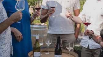 Visite guidée et dégustation au domaine viticole Davaz