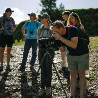 Observer les marmottes © Kevin Wildhaber