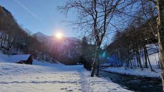 Découverte de la nature dans la vallée de Weisstannen