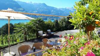 Grotto "KALIFORNI" CasaNova Vin Pur