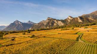 Bündner Herrschaft vignoble, Herrschaft, vin, villages, montagnes, Falknis, village, Grisons, Bündner Bündner Herrschaft, vue