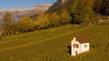 Heiligkreuz, Mels, vignes, vin saint-gallois, vignoble