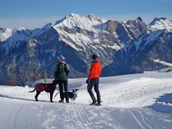 Pizol, neige, sols de course, chien, randonnées hivernales, groupe de cors des Alpes Pardiel