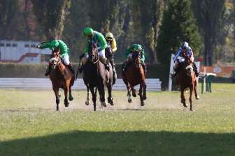 Courses hippiques 2