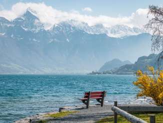 2025, banc, montagnes, fête de la neige, forsythias, forsythia, printemps, paysage et nature, banc rouge, lac, banc public, promenade, pierres, lac de Walenstadt, eau, chemin, nuages