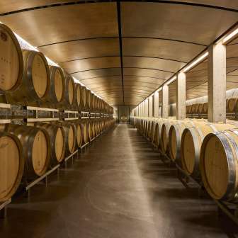 Cave à vin du domaine Davaz © Domaine Davaz