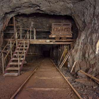 D4S 7922
