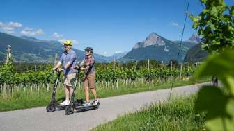 Tour de pique-nique en scooter électrique Bündner Herrschaft