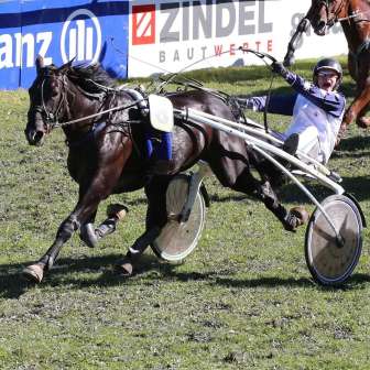 Courses hippiques 1