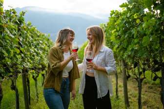 Dégustation de vin dans les vignes © Tourisme Heidiland