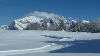 neige, ski de fond