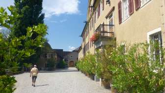 Château de Salenegg